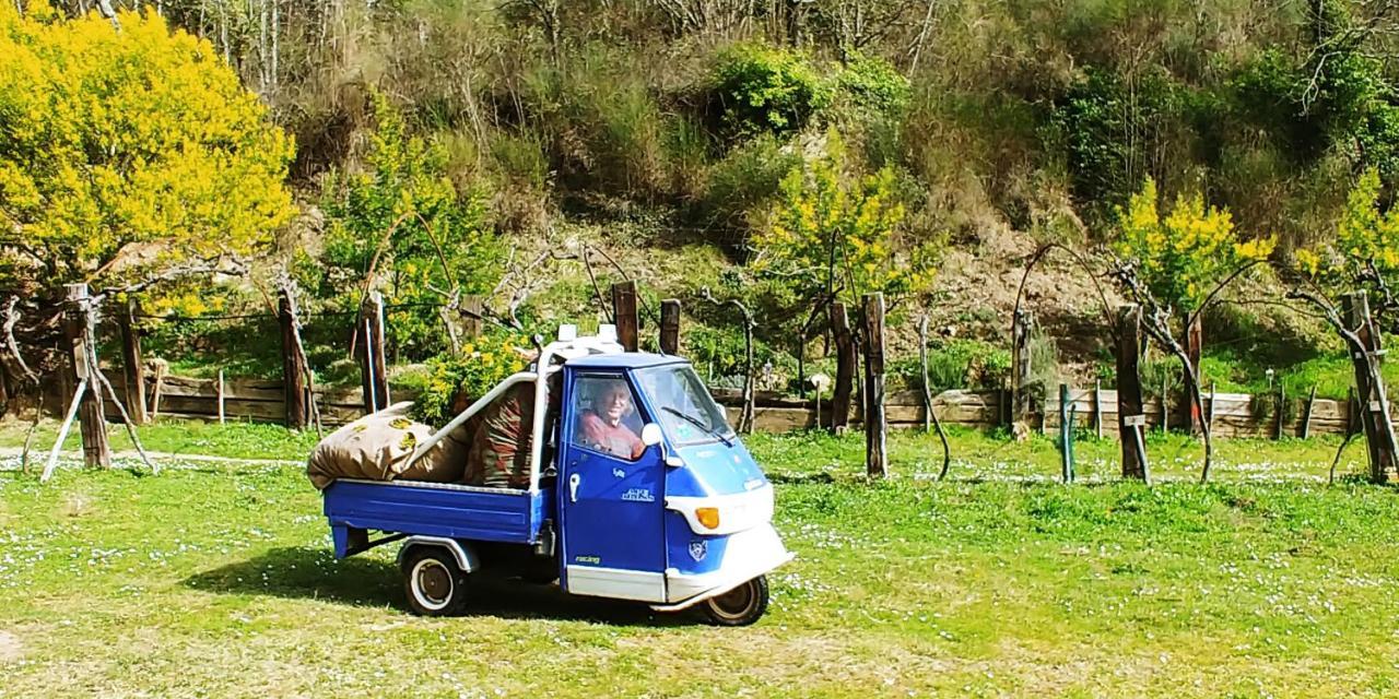 Agricamping Ponteraggio N.1 Camping