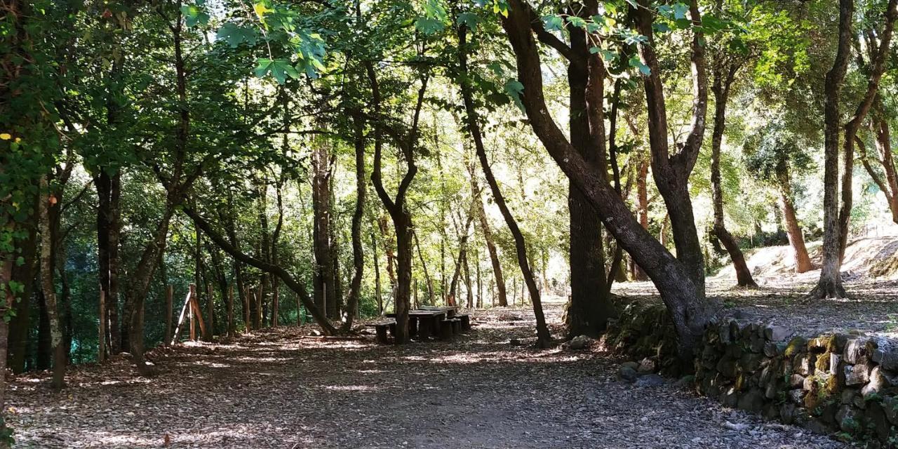 Agricamping Ponteraggio N.1 * Dolceacqua