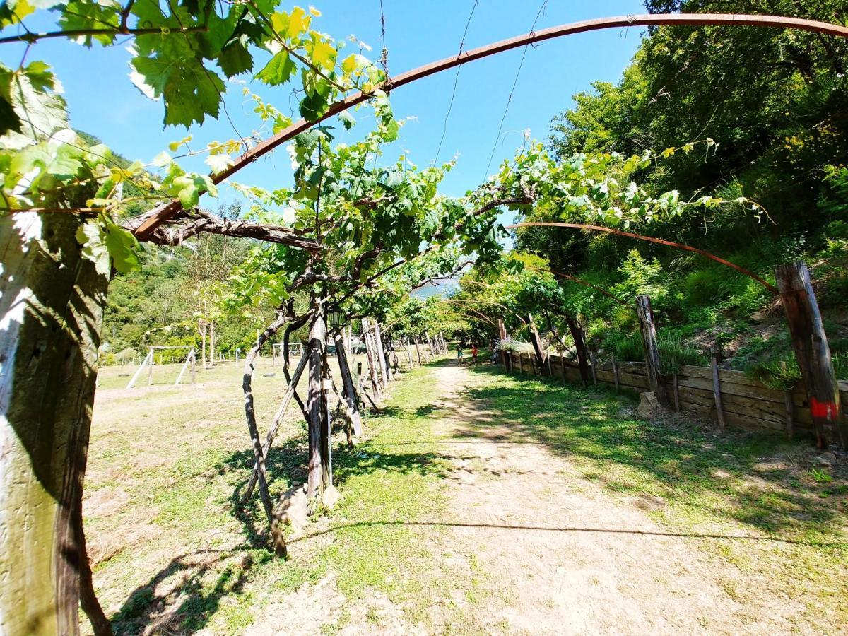 Camping Agricamping Ponteraggio N.1 *