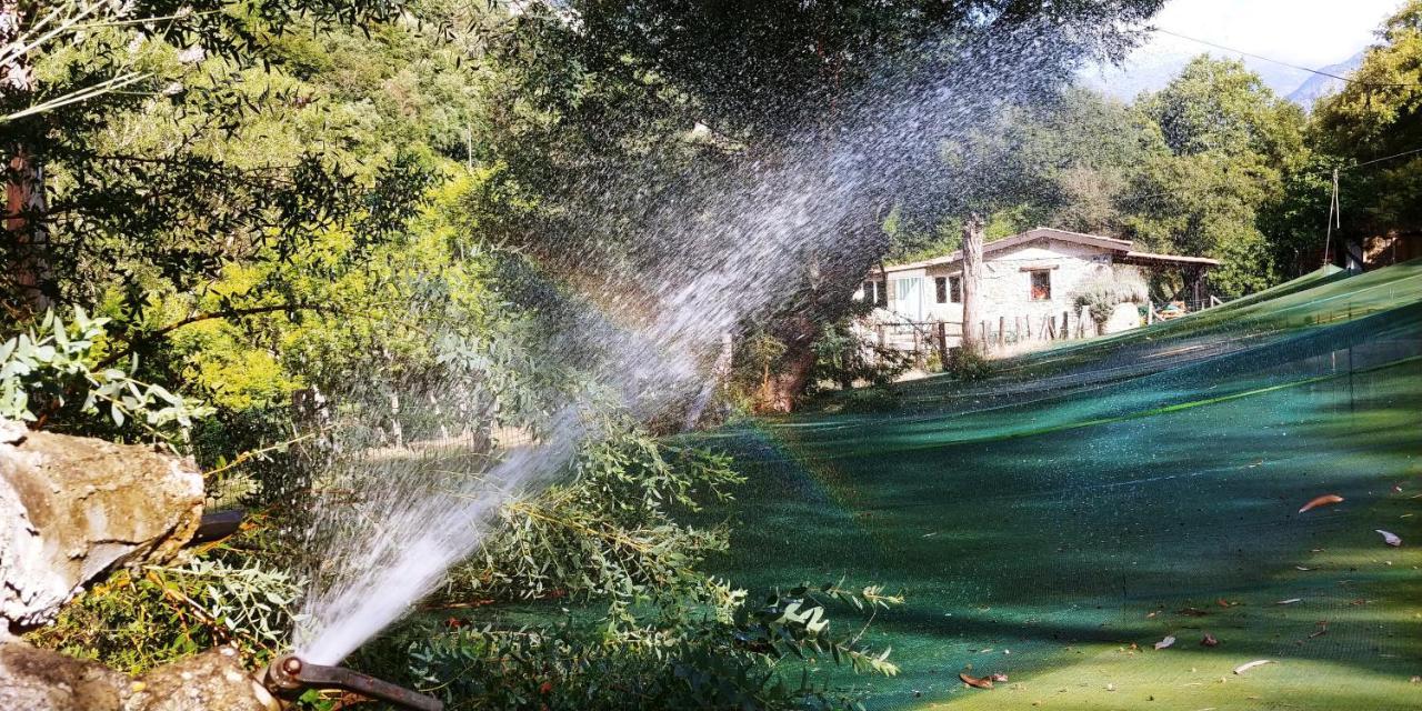 Agricamping Ponteraggio N.1 Camping