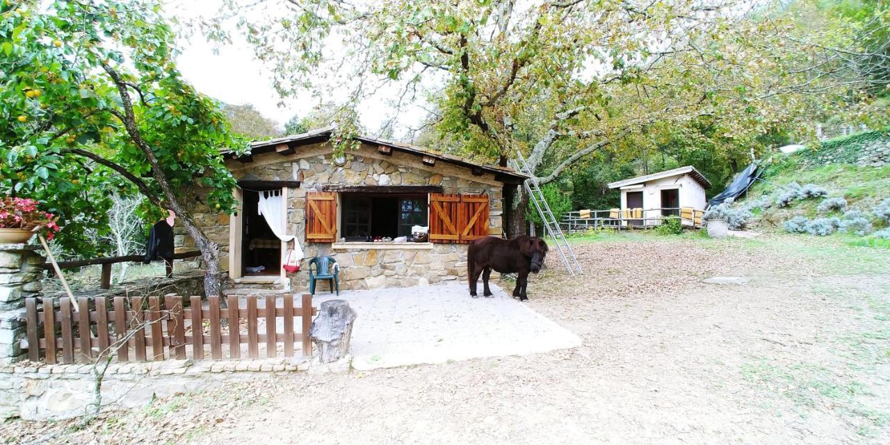 Agricamping Ponteraggio N.1 *