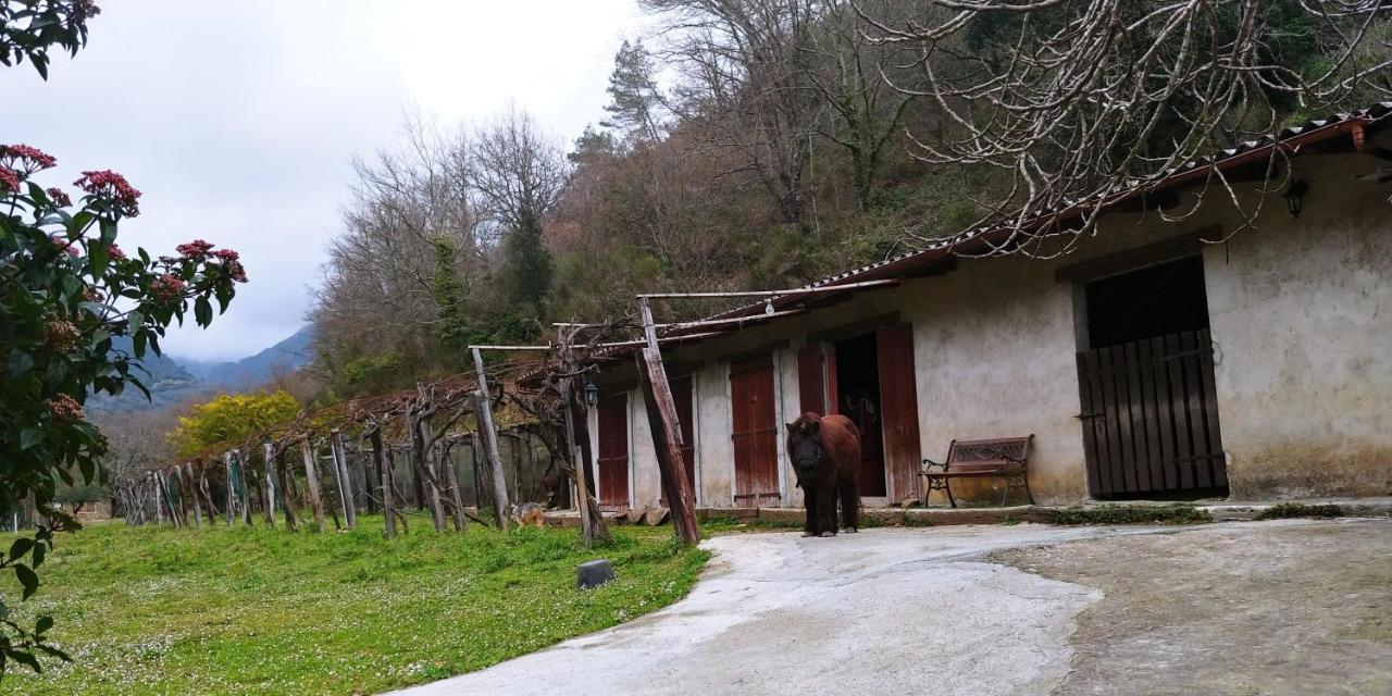 Agricamping Ponteraggio N.1 Dolceacqua