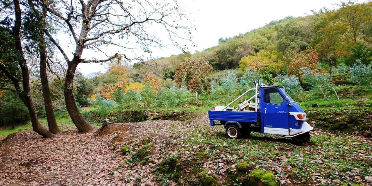 Camping Agricamping Ponteraggio N.1 Dolceacqua