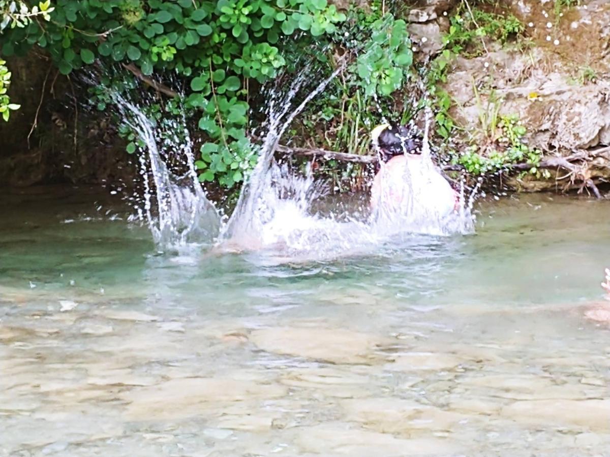 Agricamping Ponteraggio N.1 Camping *