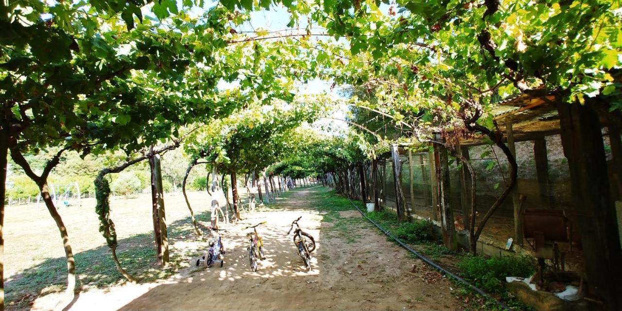 Agricamping Ponteraggio N.1 * Dolceacqua