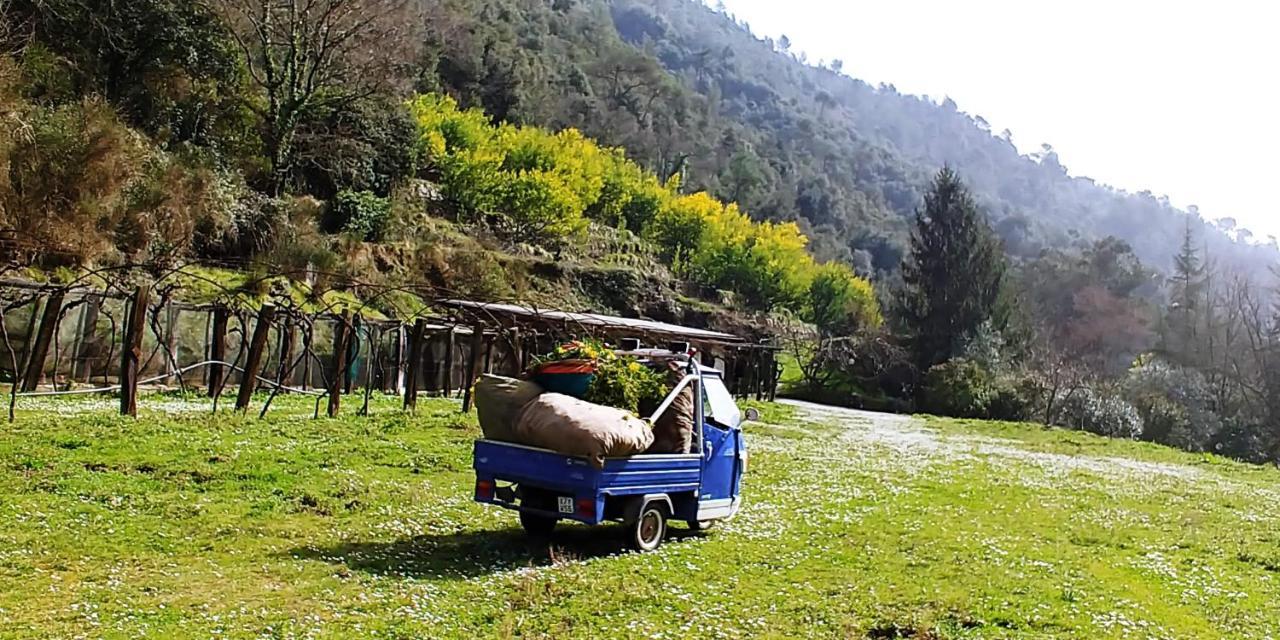 Agricamping Ponteraggio N.1 Dolceacqua