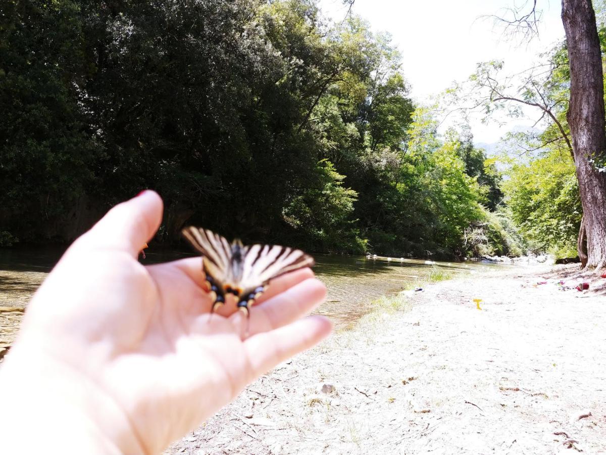 Camping Agricamping Ponteraggio N.1 Dolceacqua