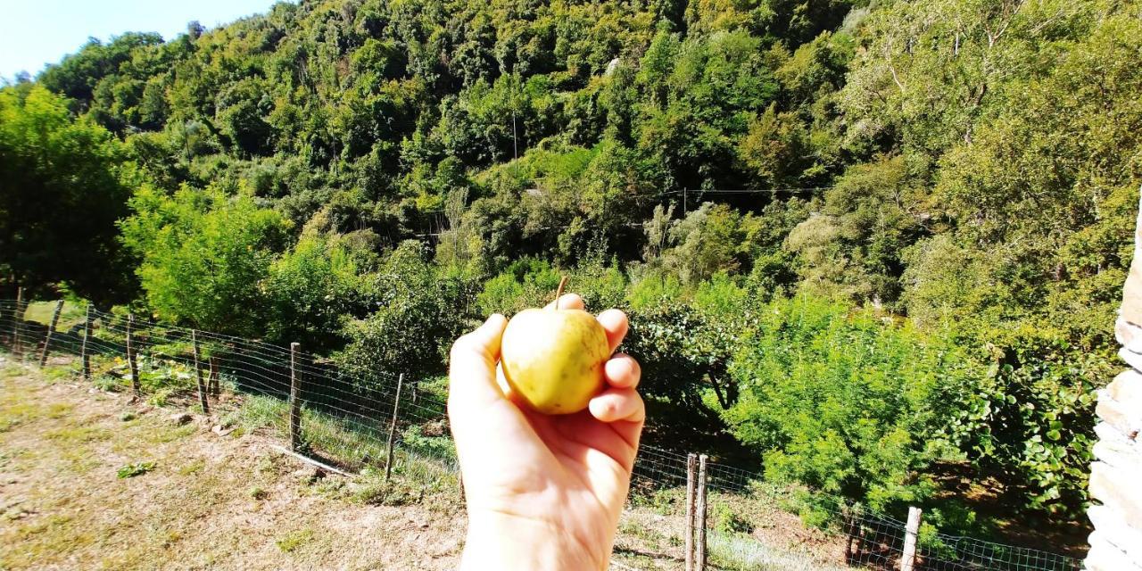 Camping Agricamping Ponteraggio N.1