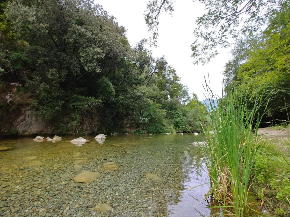 Agricamping Ponteraggio N.1 Campeggio