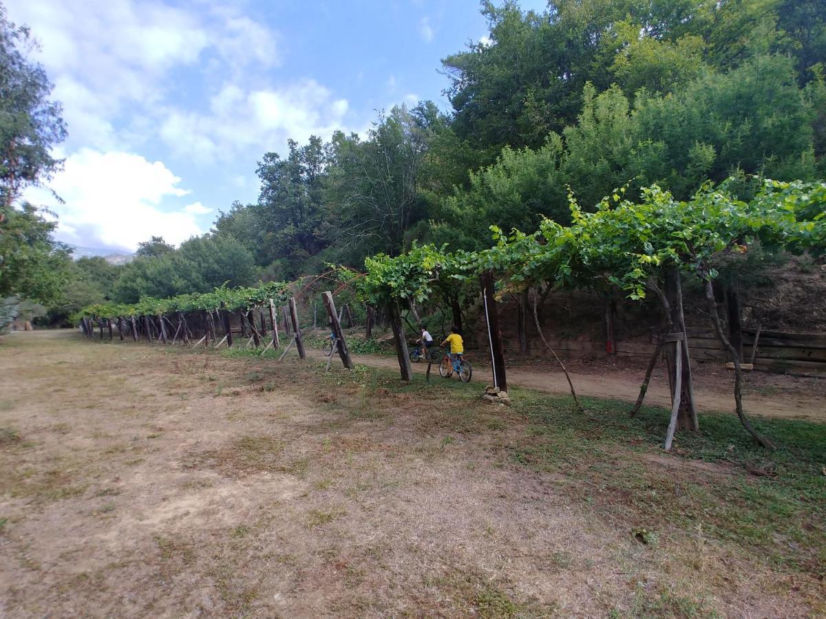 Agricamping Ponteraggio N.1