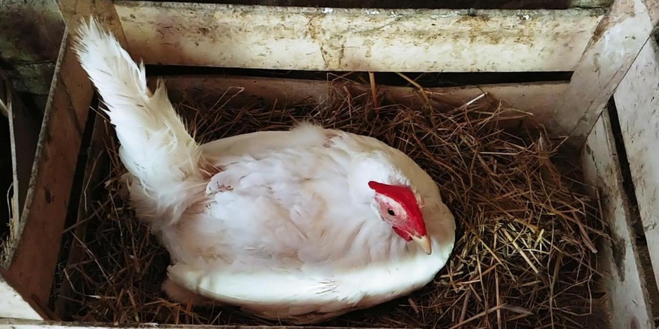 Agricamping Ponteraggio N.1 *