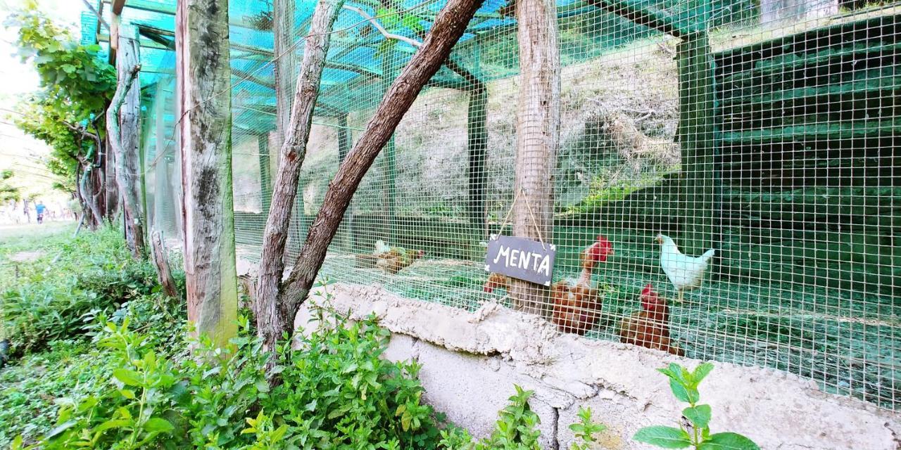 Agricamping Ponteraggio N.1 * Dolceacqua