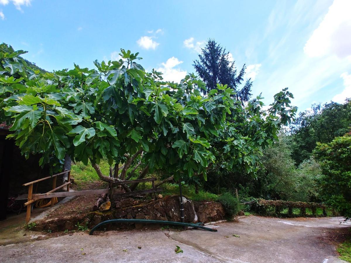 Agricamping Ponteraggio N.1